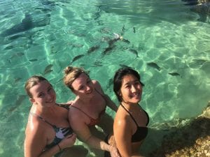 champagne pools on fraser island