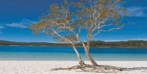 Lake Mckenzie Five Top Reasons To Visit01 1024x519