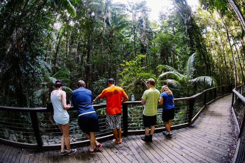 Blog Central Station Rainforest Connect With Nature On Fraser Island