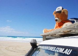 Blog The Best Job In Australia Maybe Even The World Fraser Island Tour Guide