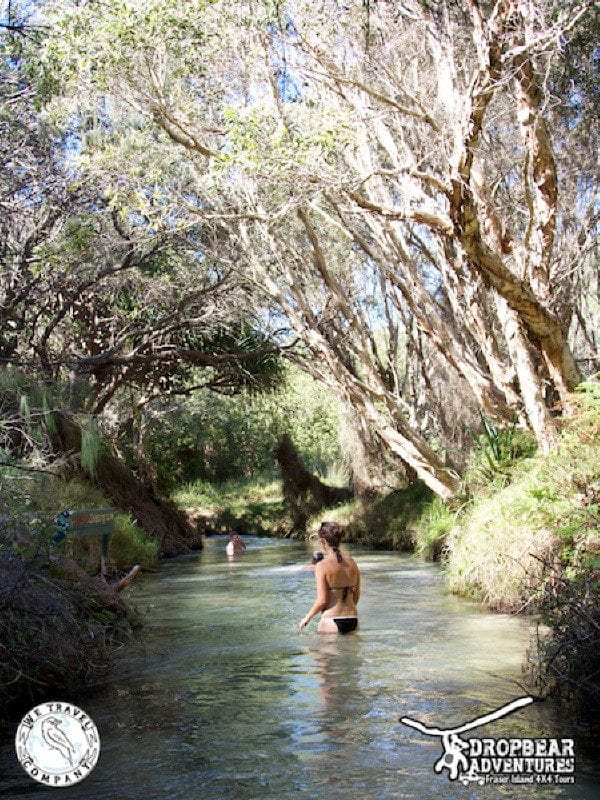 Cool Off At The Enchanting Eli Creek01