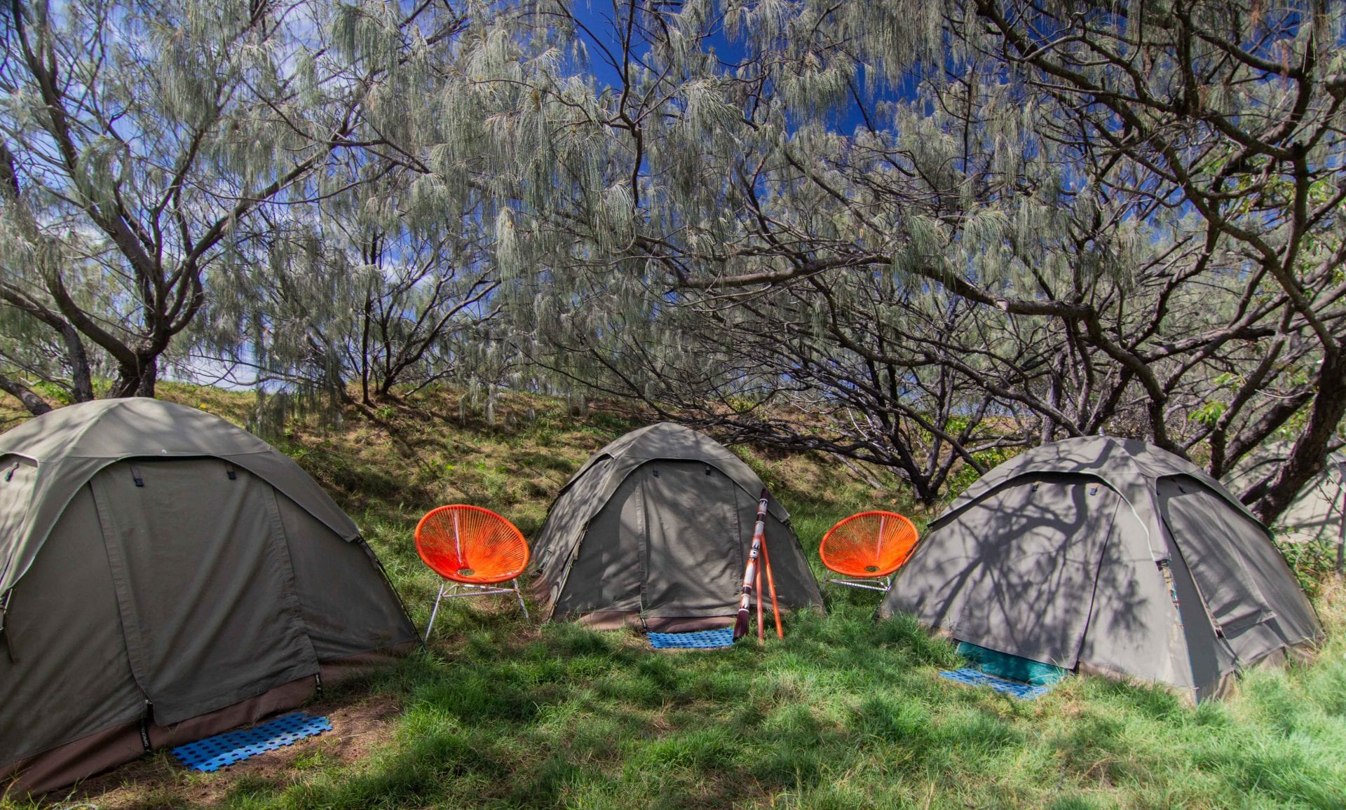Fraser Island Camping Permits Maps Campsites Tips And More Drop Bear Adventures