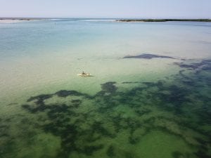 kayaking noosa