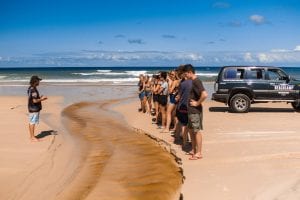 Fraser Island 144 1