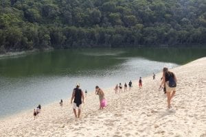 fraser island snorkelling at lake wabby