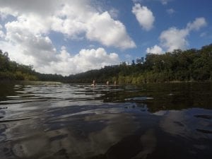 Swimming and snorkelling In Lake Allom Famous For Turtles