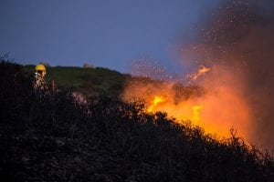 australia bushfire recovery