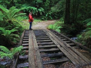 tasmania west coast