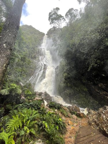 Montezuma Falls Mist