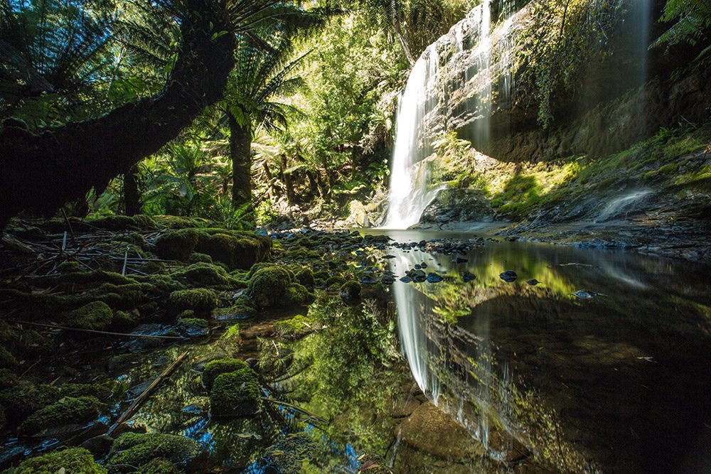 Mount Field National Park