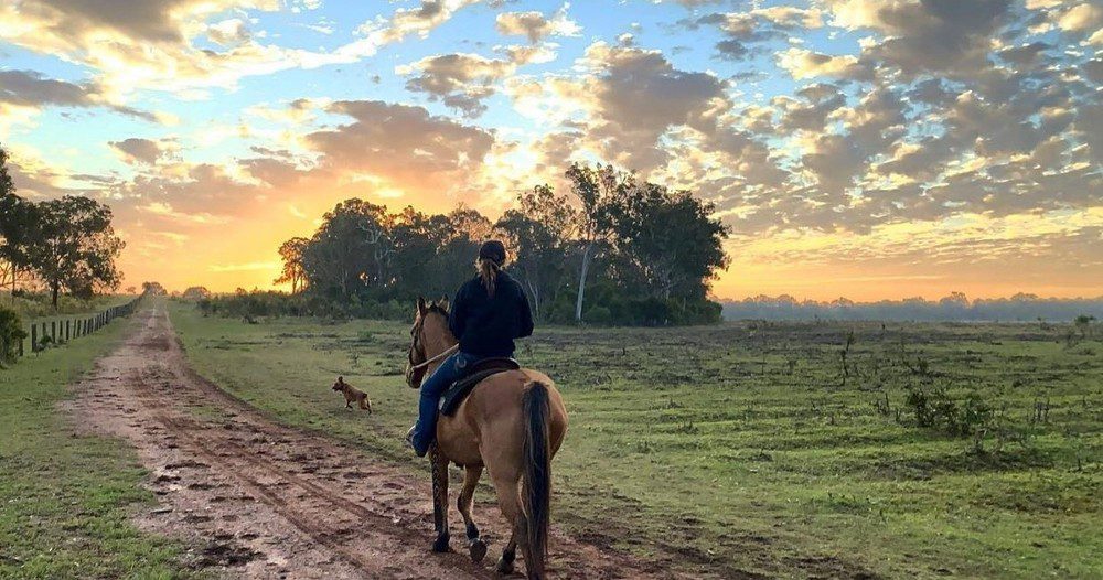 Day Rides1
