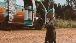 Van Life With A Dog Australia