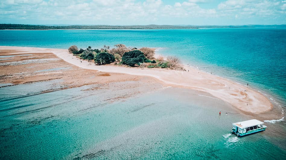 Hervey Bay Eco Marine Tours The Global Wizards