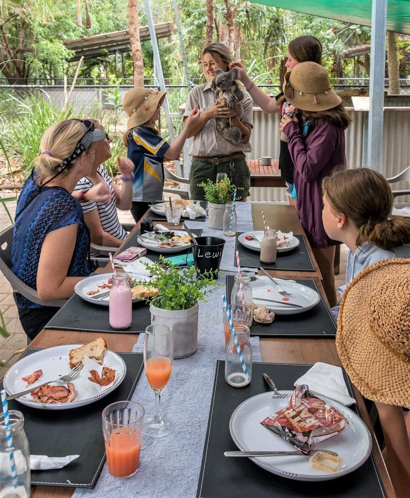 Koala Breakfast 2