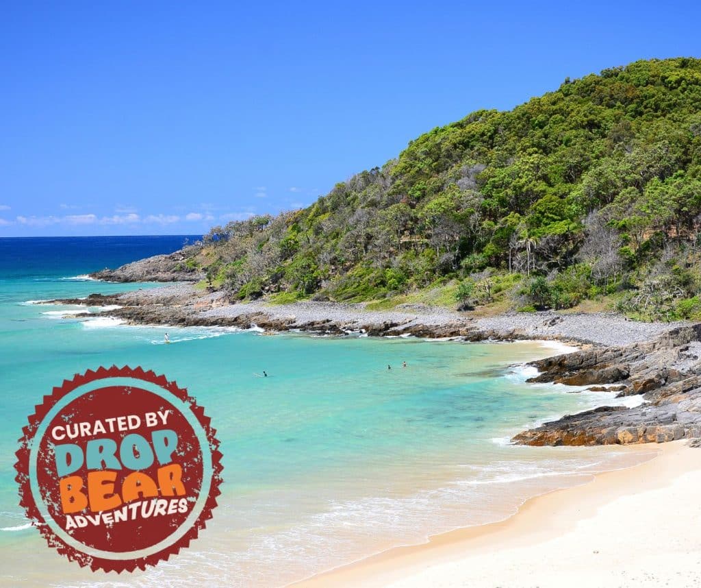 Learn to Surf in Noosa - Drop Bear Adventures