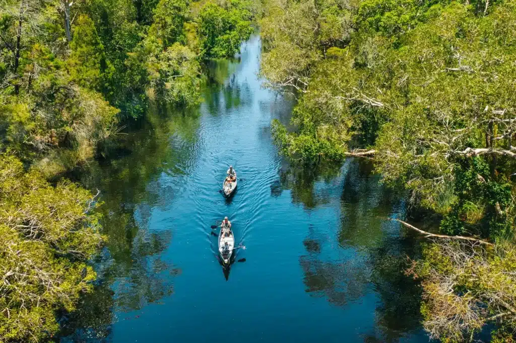 Everglades 1536x1023.jpg