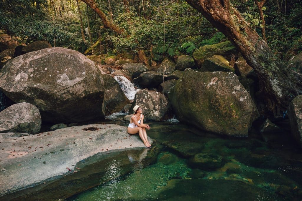 daintree rainforest