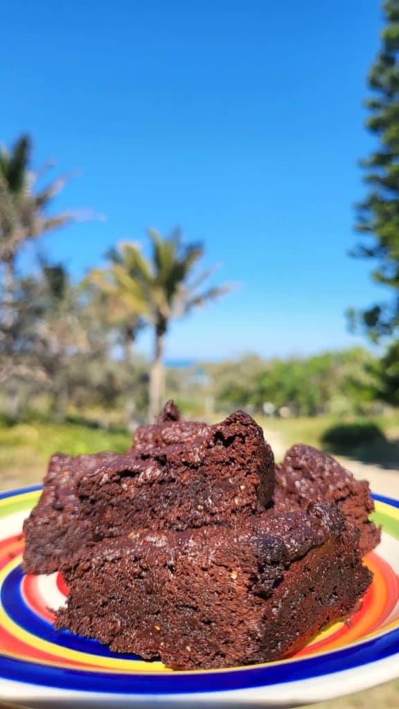 Drop Bear Adventures Vegan & GF Brownies