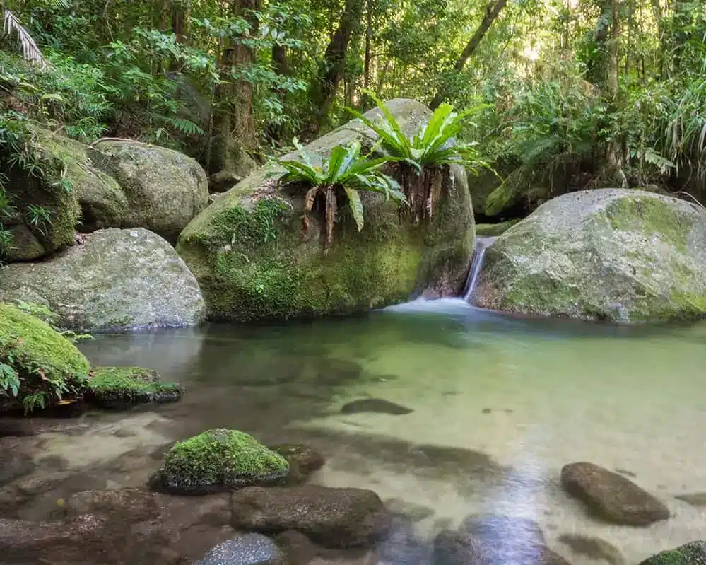 Mossman Gorge Swimming