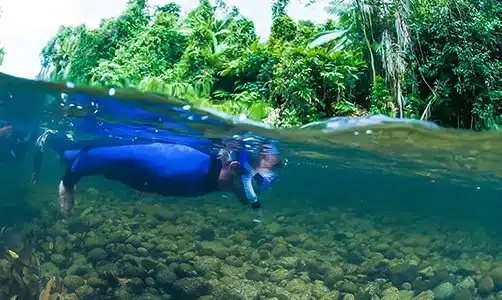 River Drift Snorkelling Product