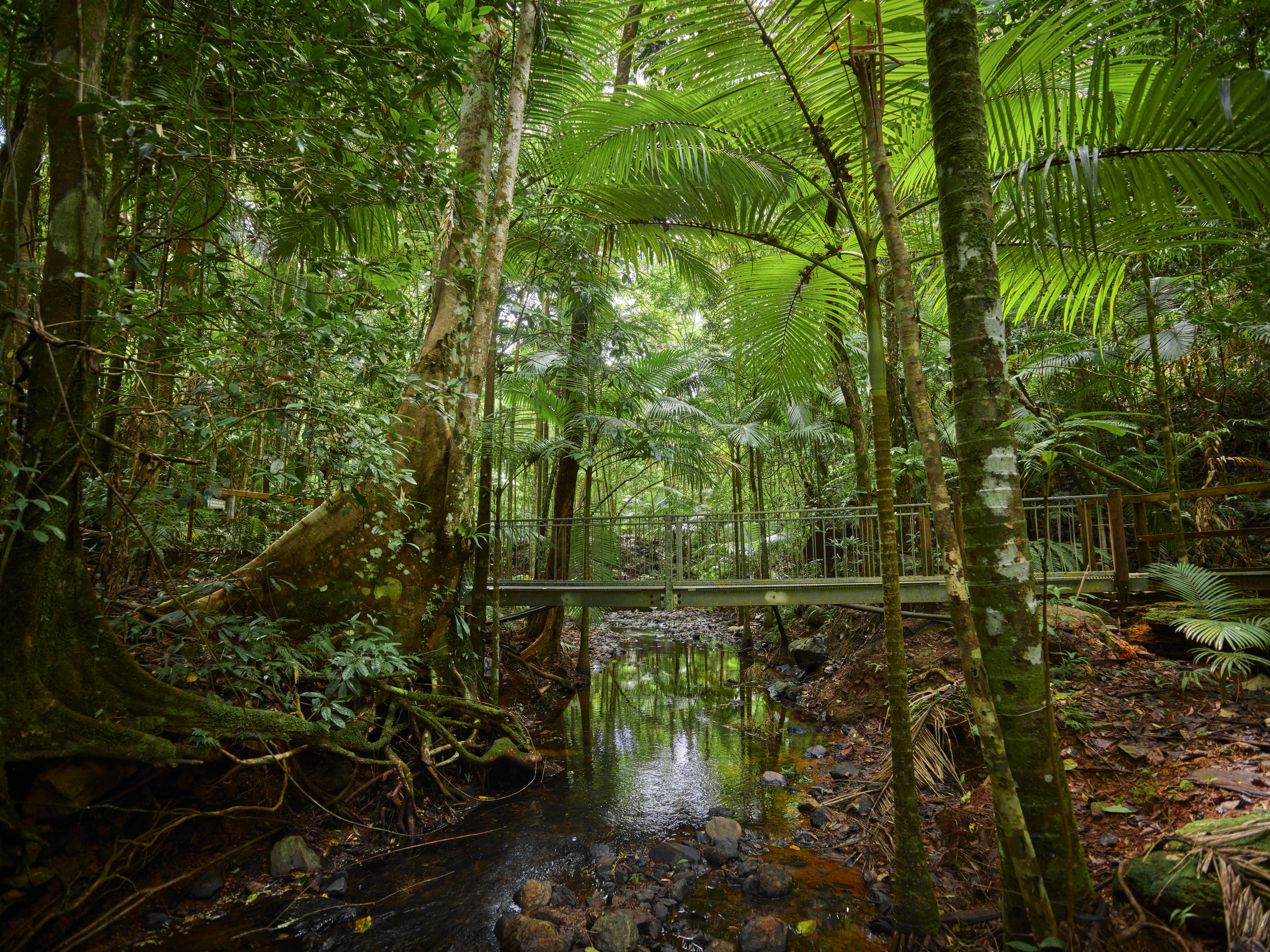 Daintree Discovery Centre
