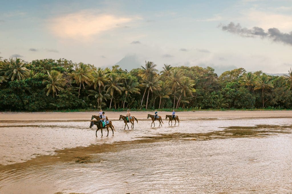 Cape Trib Horse Rides