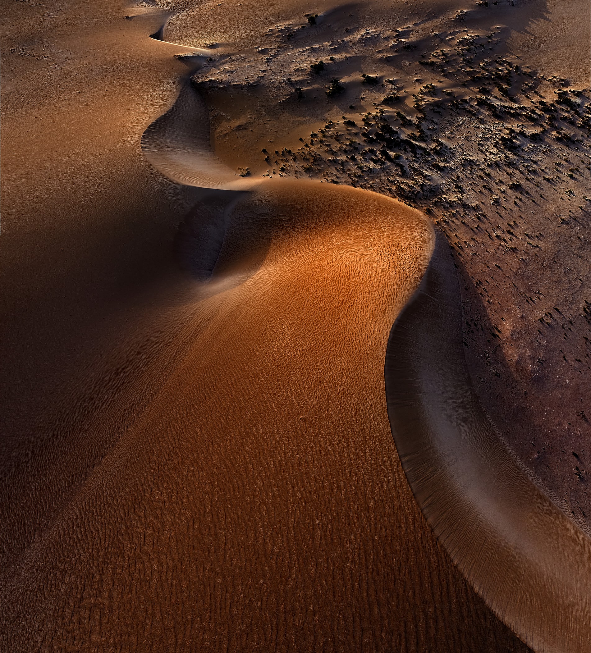 Dirk Hartog Island, Near Denham